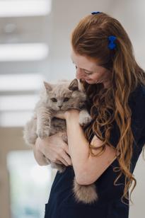 Kat knuffel assistent POOT